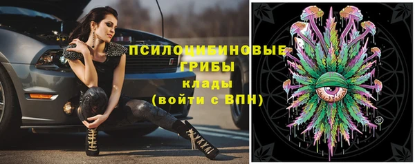 стафф Вязники